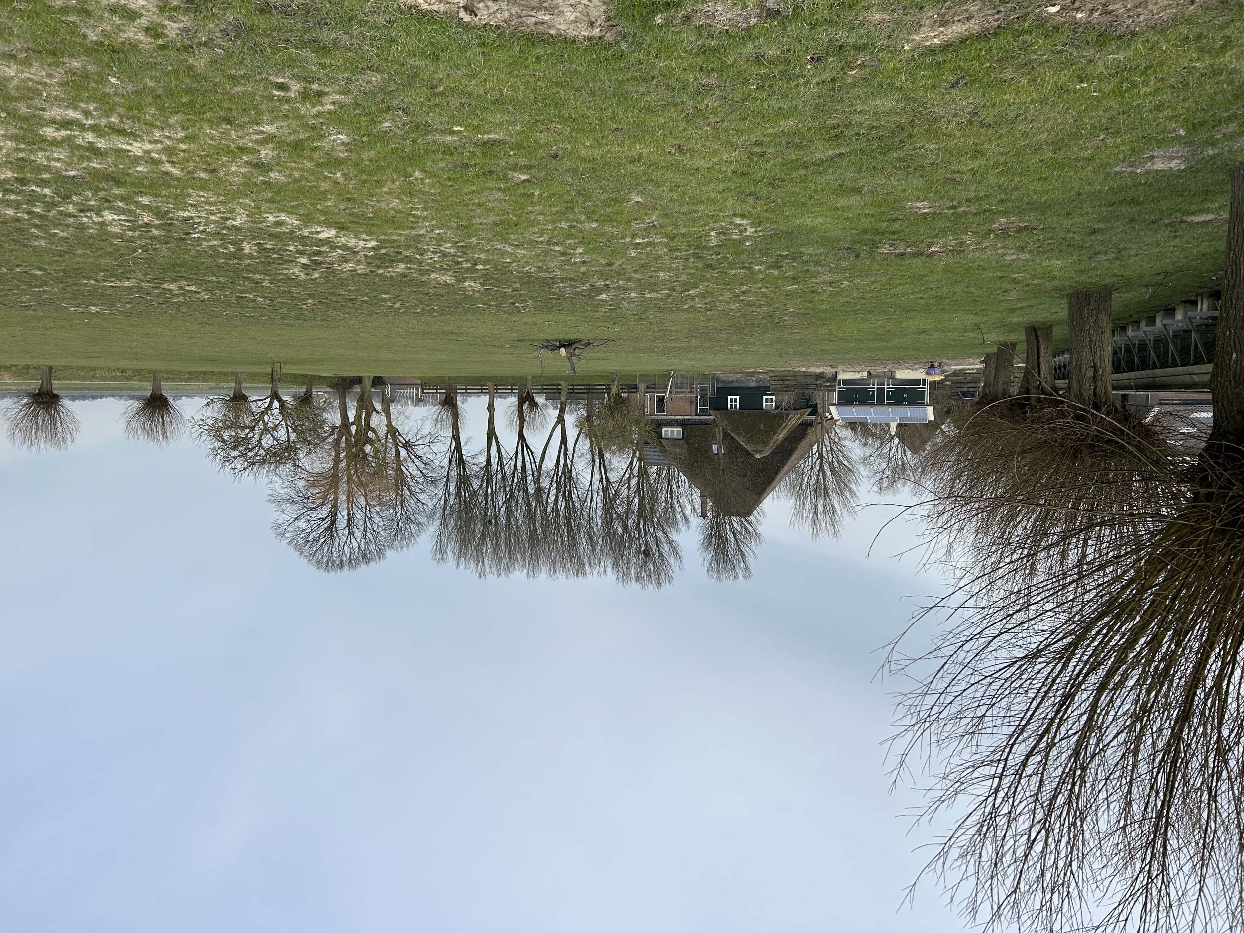 Polderpracht Voedselbos 4