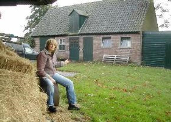 afbeelding32.jpg
