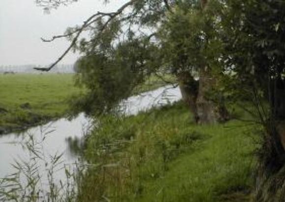 afbeelding62.jpg
