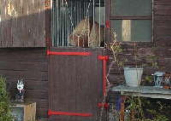 afbeelding217.jpg