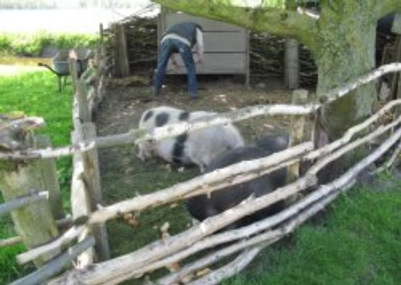 foto46.jpg