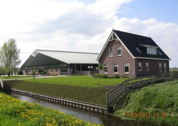 femke1.jpg