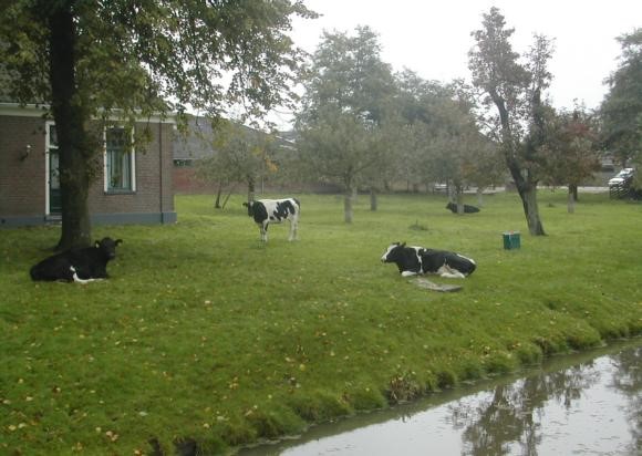 oktober 2013 013.JPG