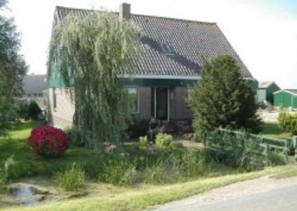foto118.jpg
