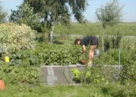 foto414.jpg