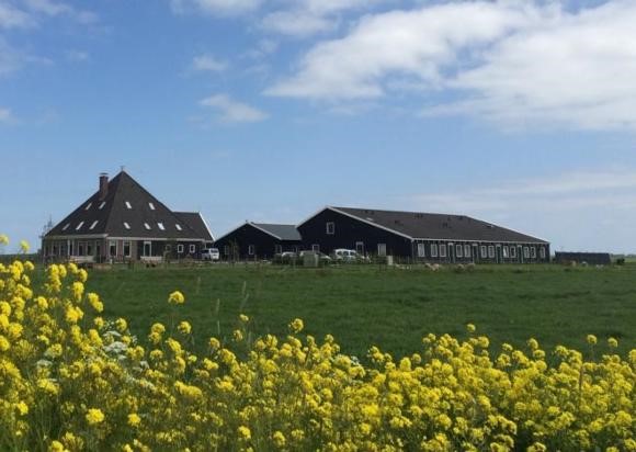 boerderij2.jpg