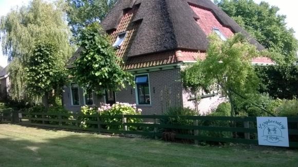 WP_20170621_001.jpg