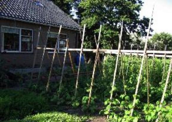 afbeelding17.jpg