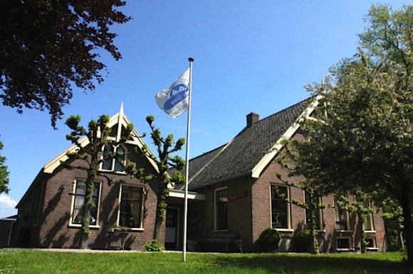 den haring.jpg