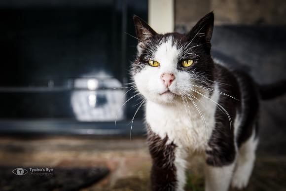 gijs-25-11-2019-DD035627-877F-49EB-9283EE48DB1839BA.jpg
