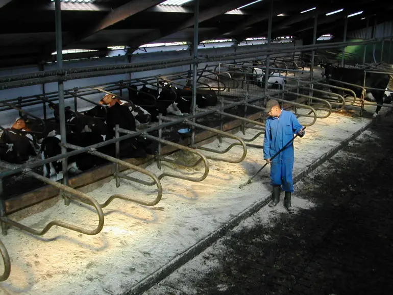 sfeer stal met deelenerm