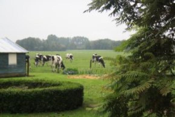 foto41.jpg