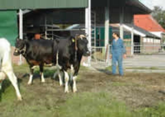 afbeelding710.jpg