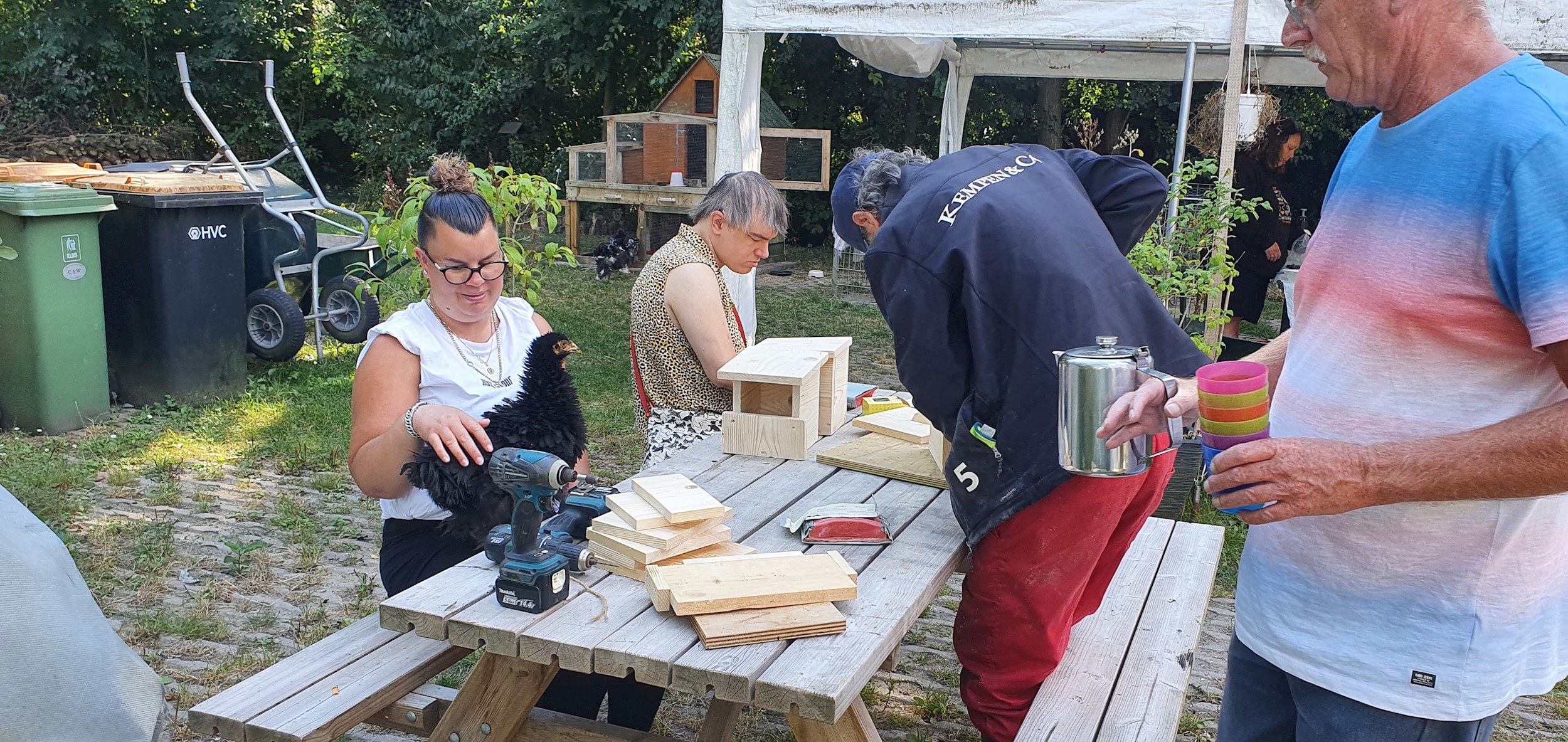 Samenwerken Met Kip