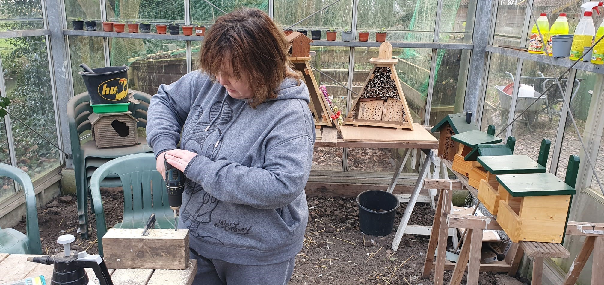 Werken Aan Insectenhotel