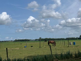 Afbeelding1