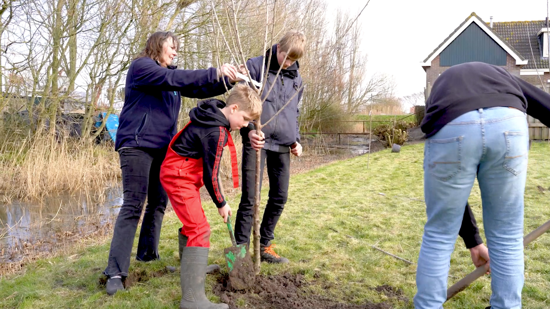 Natuurwerk2023 Landzijde 04 Boompje Planten