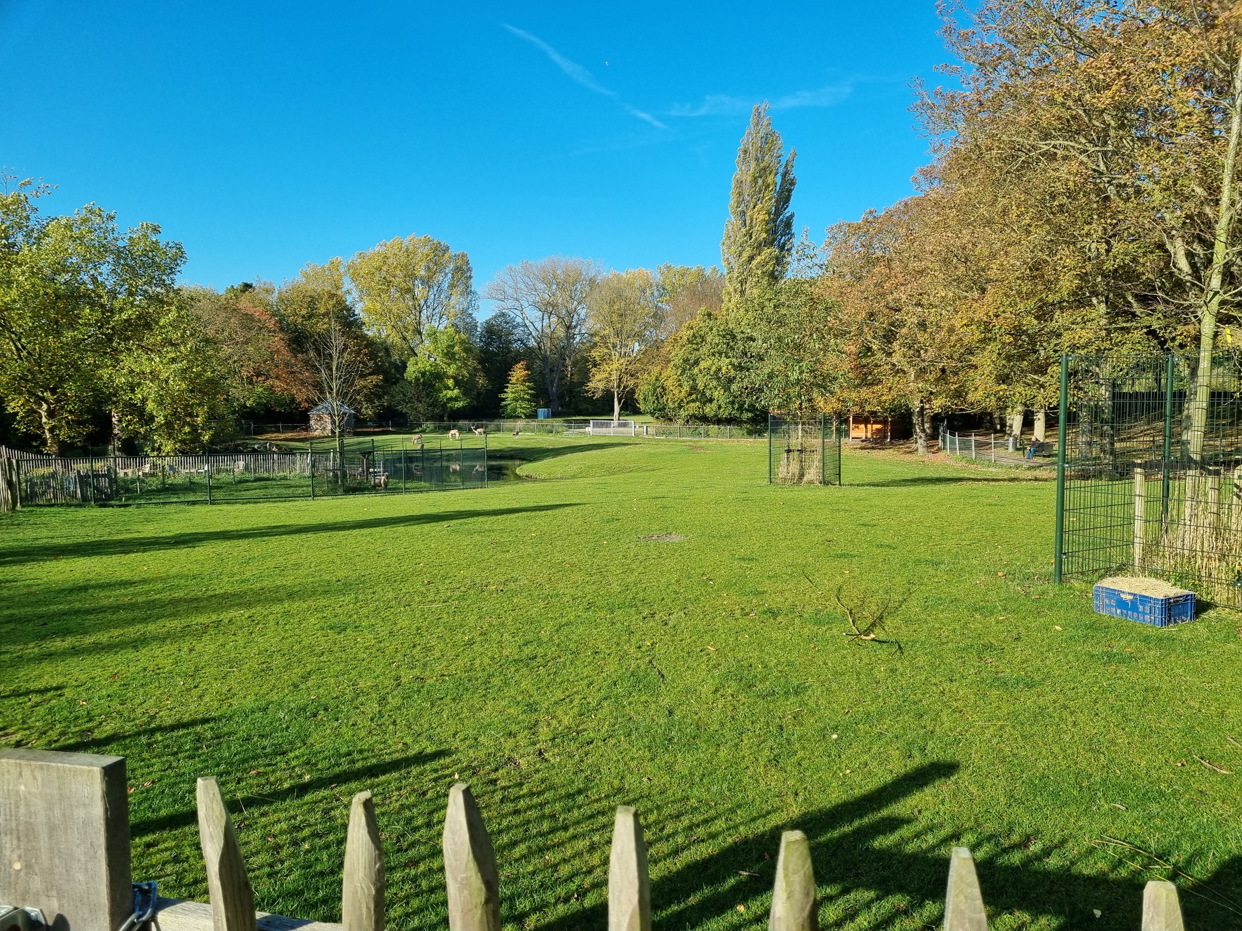 Hertenkamp